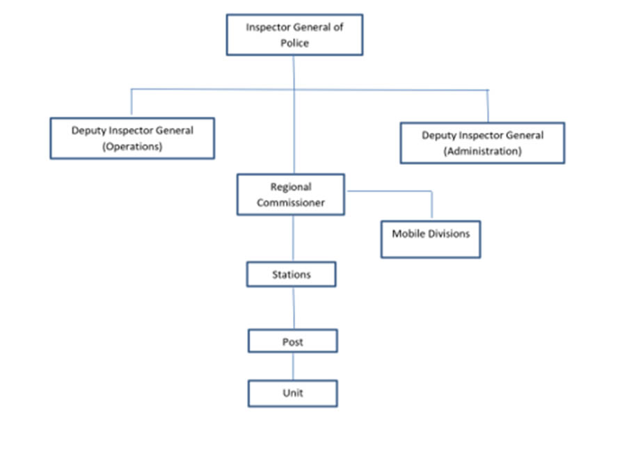 Organizational Structure